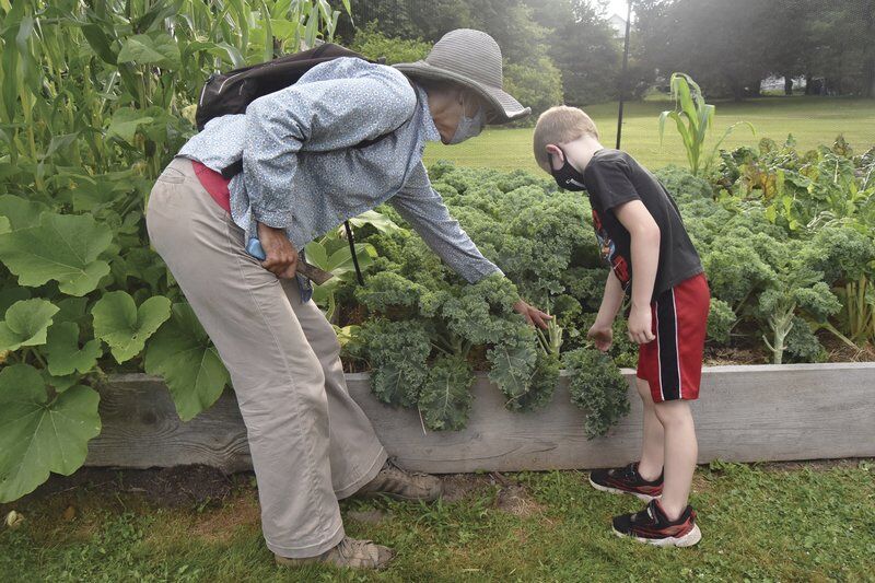School garden's roots extend into Hancock life
